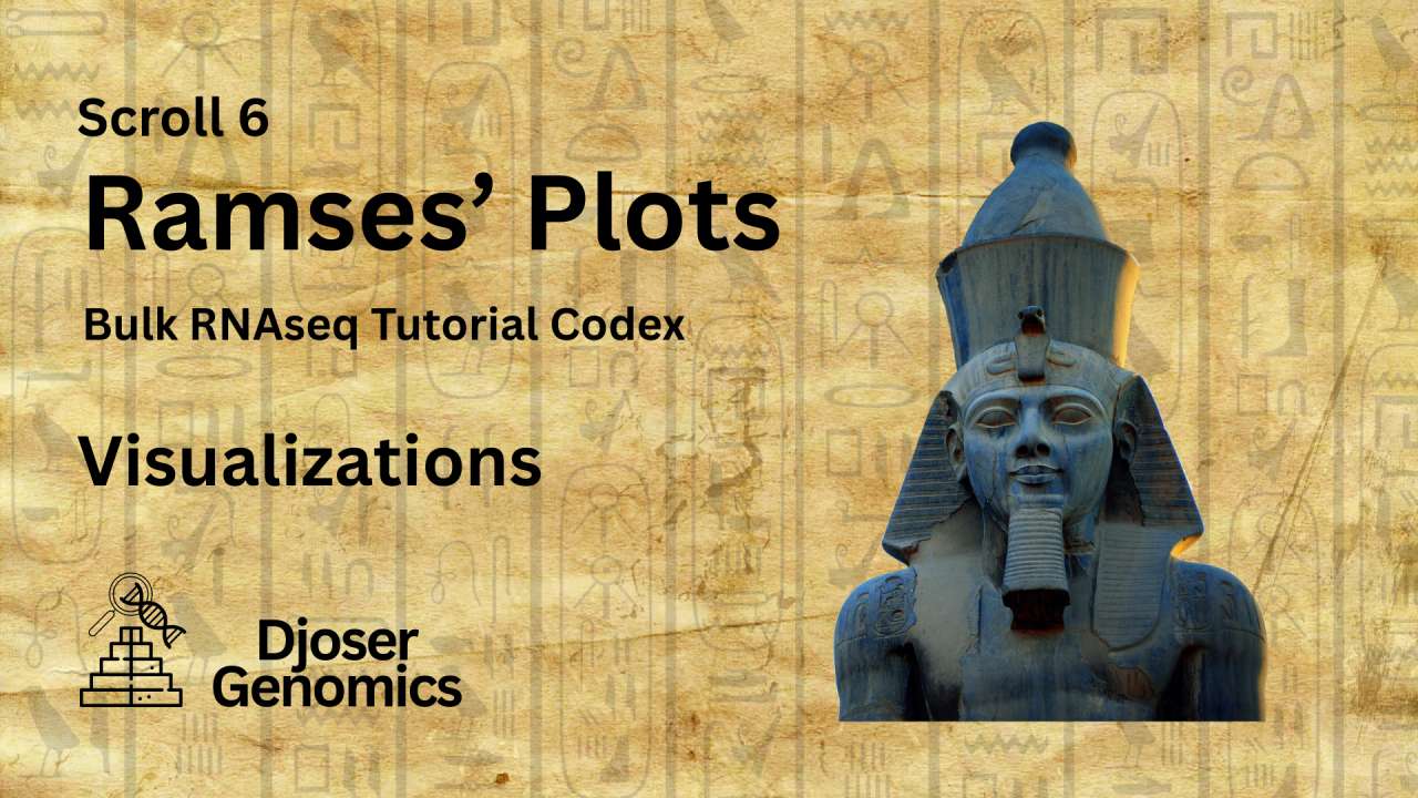 Scroll 6: Ramses' Plots